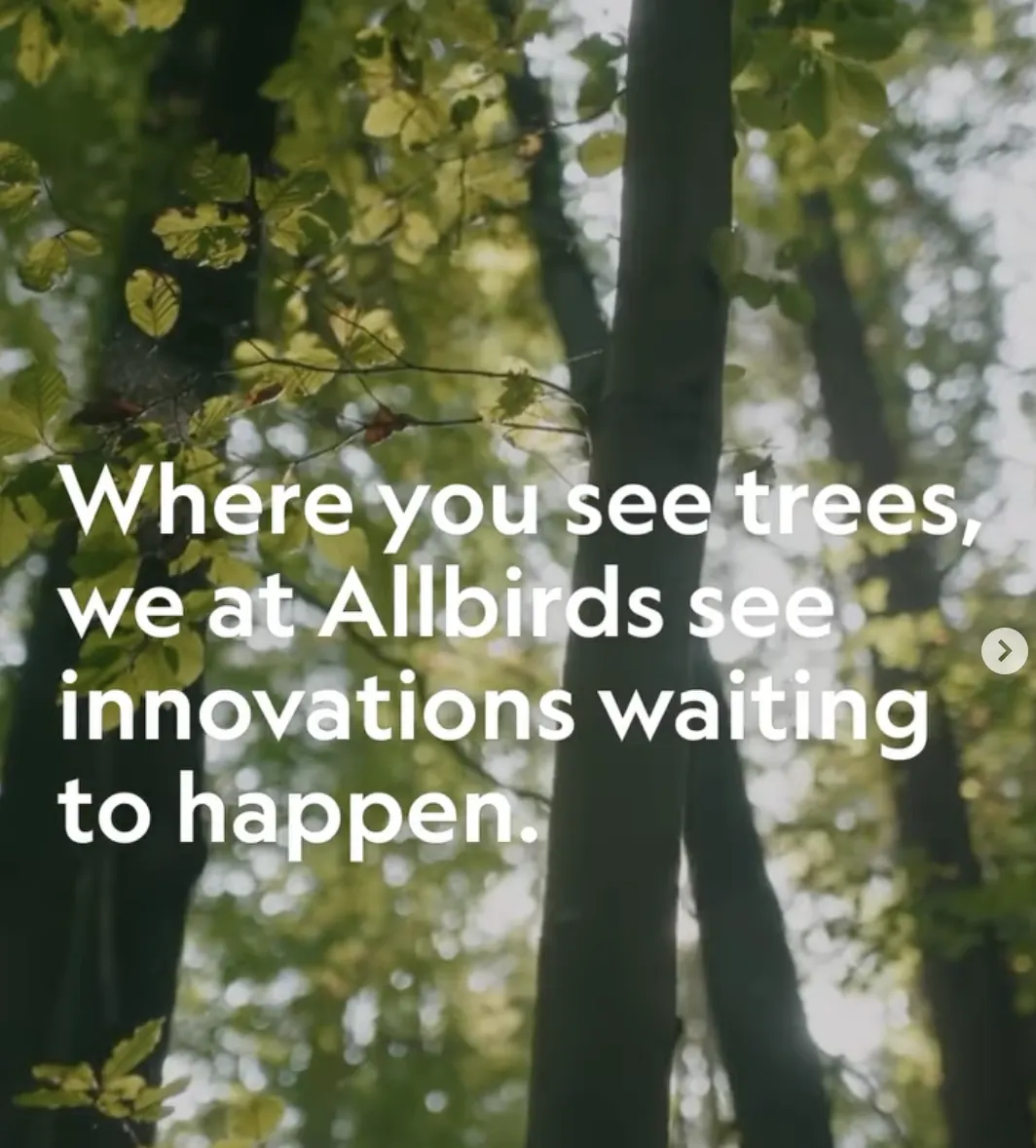A screenshot from Allbirds' Instagram page showing a post that showcases their sustainability efforts.